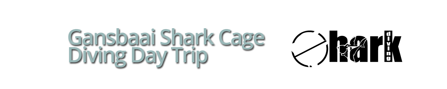 Gansbaai Shark Cage Diving Day Trip
