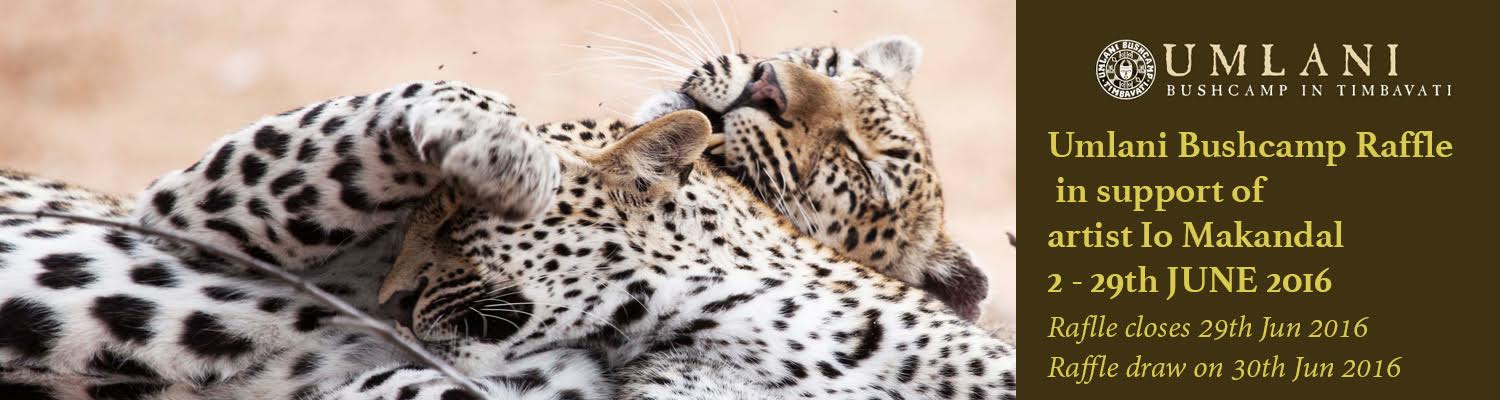 Umlani Bushcamp Raffle in support of artist Io Makandal