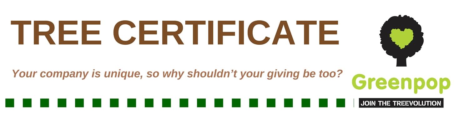 Company Tree Gifting