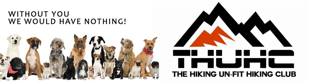 CPT - Hike 4 - Newlands Forrest