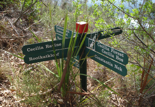 THUHC CPT - Cecilia Forest ( 5km)