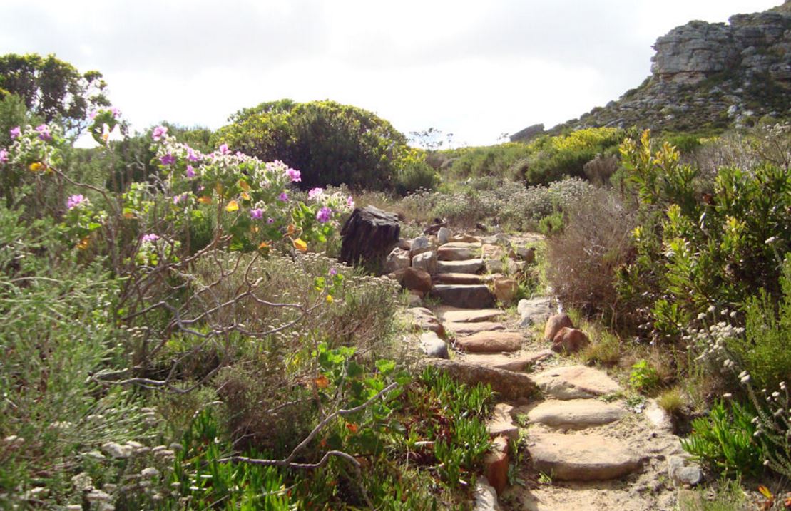 THUHC CPT- Hike 8 - Silvermine East - Higher Steenberg Peak