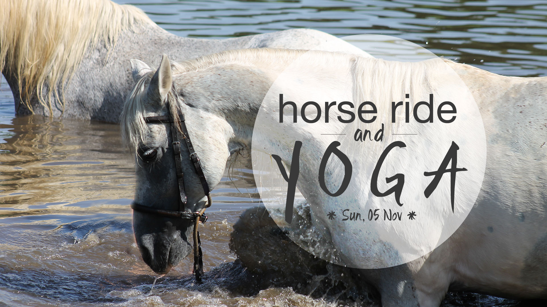 Horse Ride &amp; Yoga