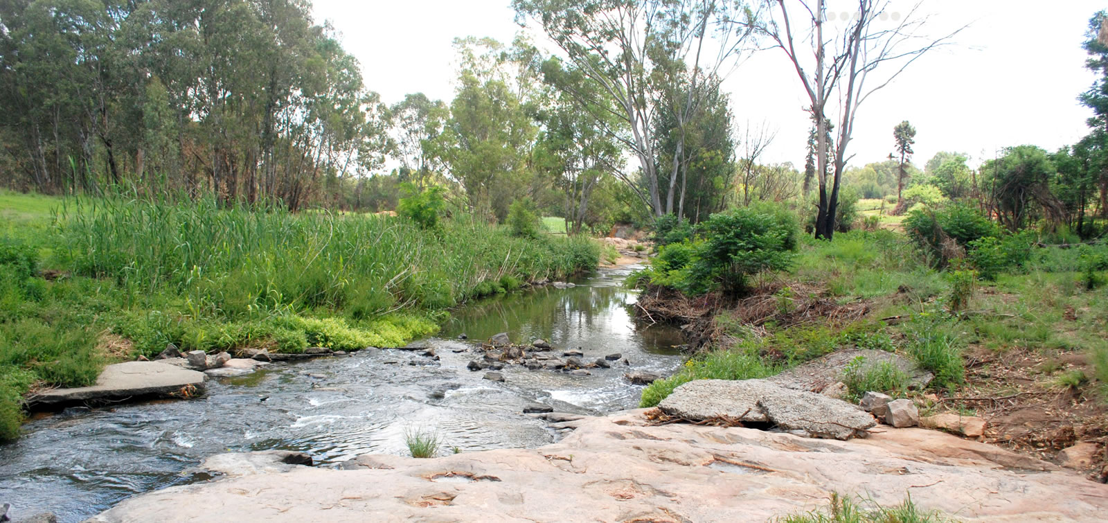 THUHC HIKE 36 - Modderfontein Reserve--> Part 2( 5km )