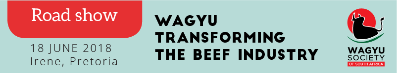 Wagyu - Transforming the Beef Industry - Irene, Pretoria 