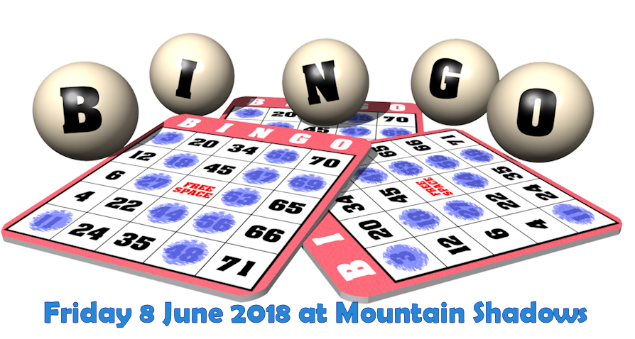 Drakenstein Animal Rescue Bingo &amp; Fun Evening