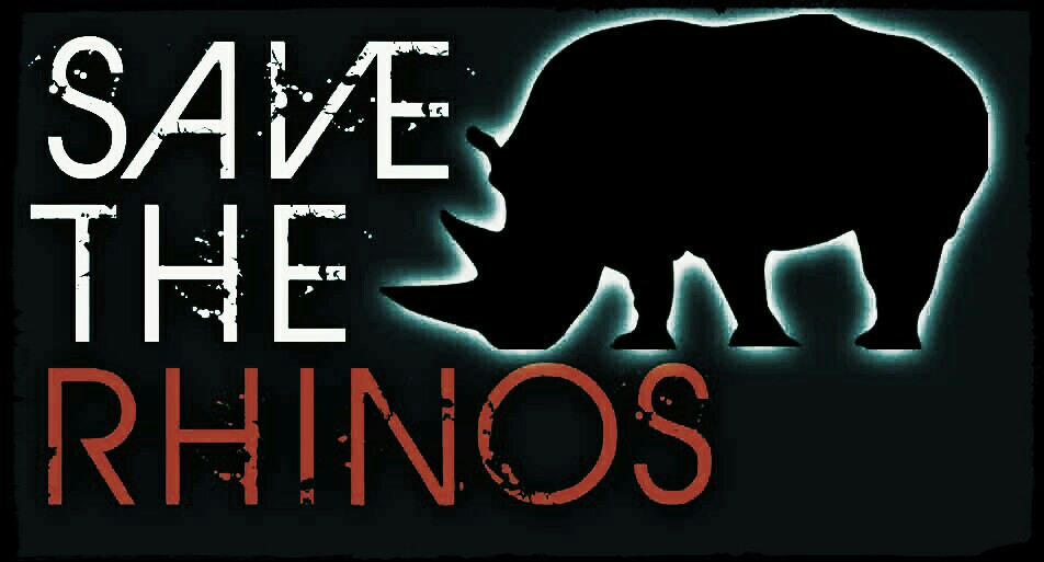 INNIWOUD RHINO SKOUSPEL 2018