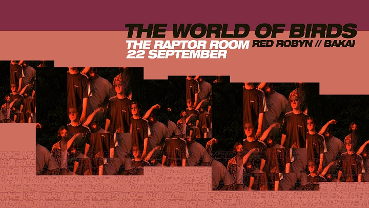 The World Of Birds Live At The Raptor Room
