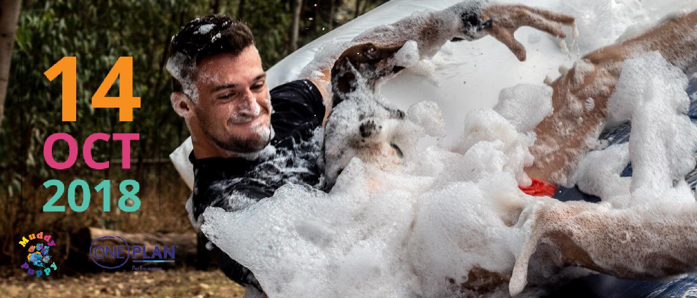 Oneplan Muddy Puppy, Mud Challenge Alzu Weltmeyer Stables