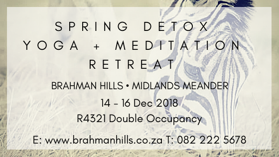 Spring Yoga and Meditation Detox Retreat - Midlands Meander