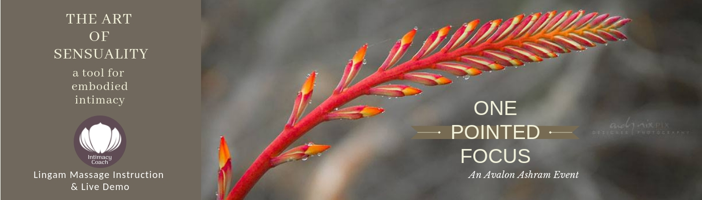 One-Pointed Focus - Lingam Massage Instruction & Live Demo 