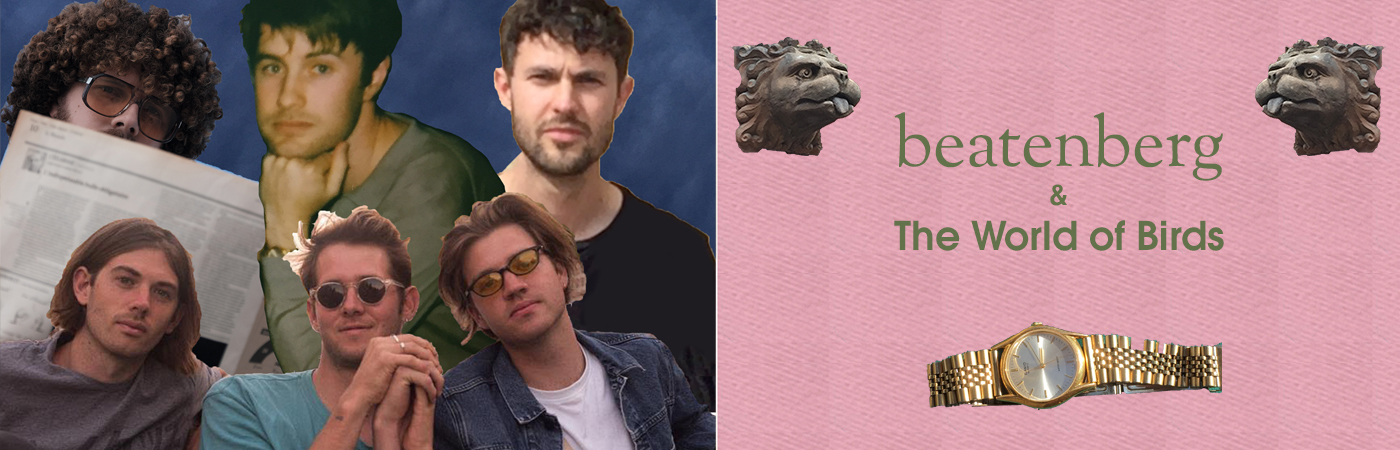 Beatenberg & The World of Birds - 12 Views Tour Plett