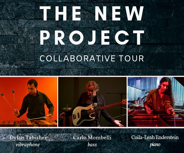 The New Project feat. Carlo Mombelli @ Youngblood Africa