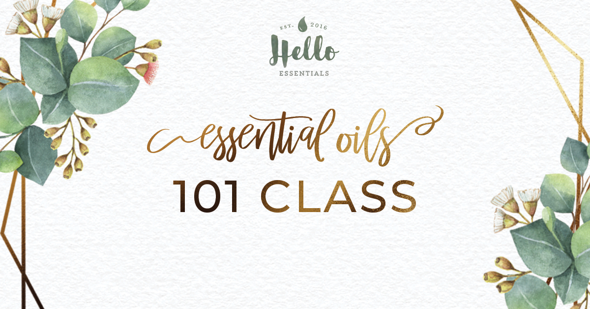 Introduction to Essential Oils in Northern Suburbs, Vredekloof