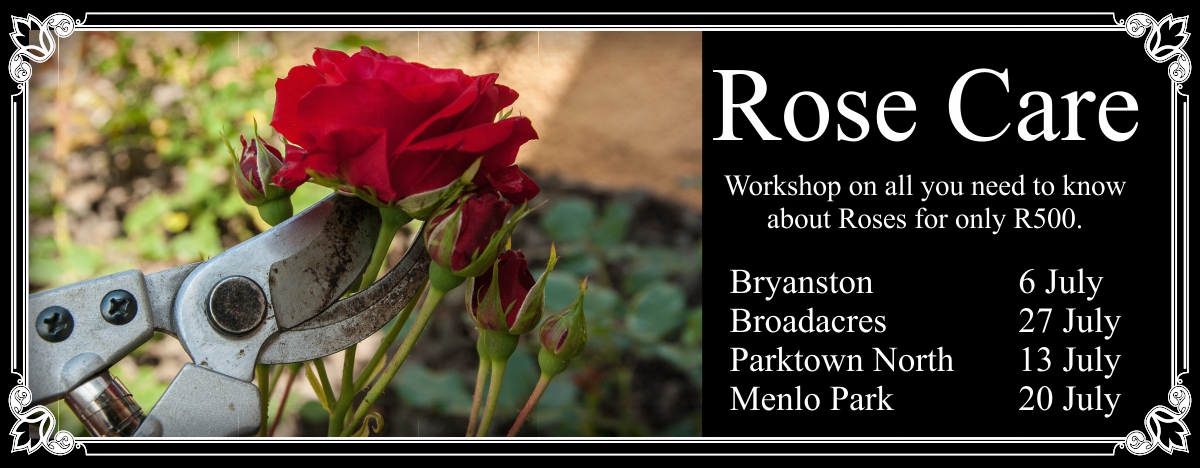 Rose Pruning Workshop @ Broadacres