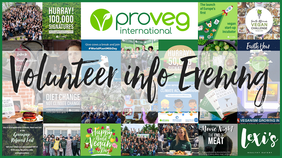 ProVeg Volunteer Info Evening - Joburg