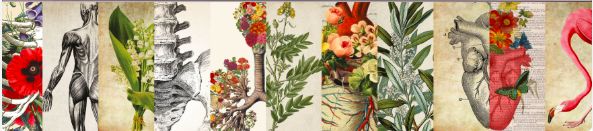 SANDTON Merchant Place - Detoxification