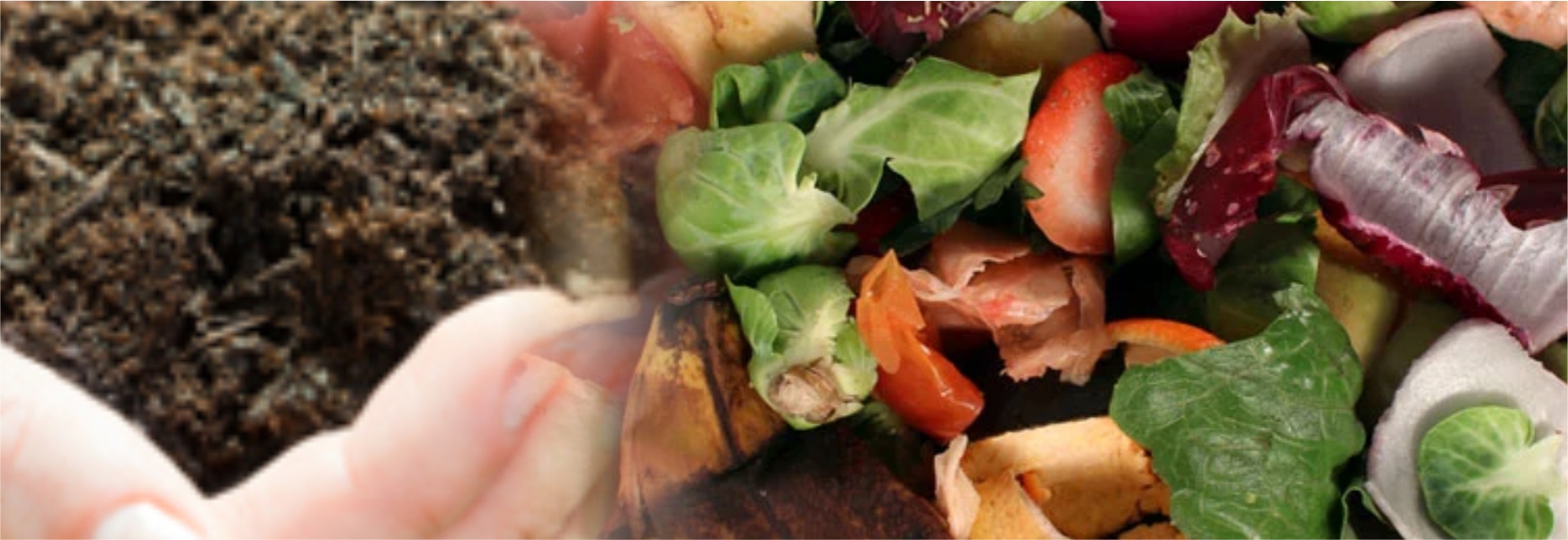 Compost Talk @ Broadacres