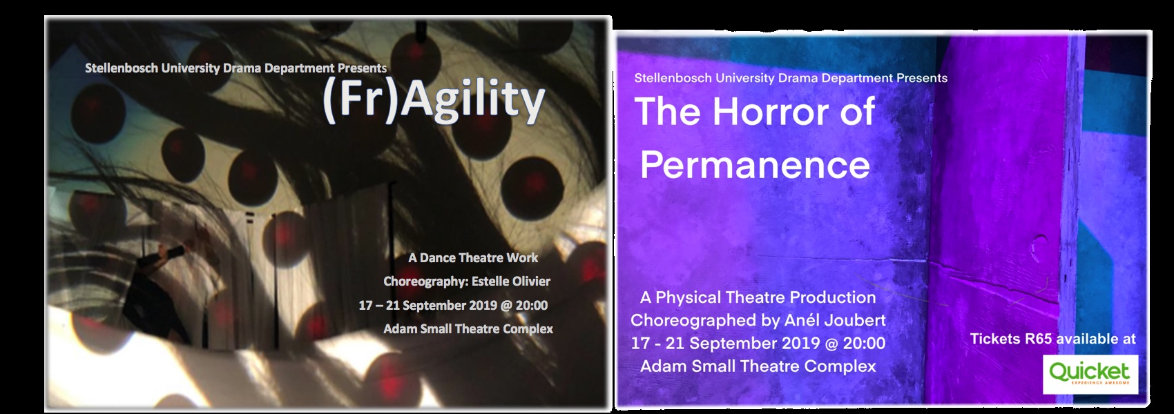 (Fr)Agility / The Horror of Permanence 