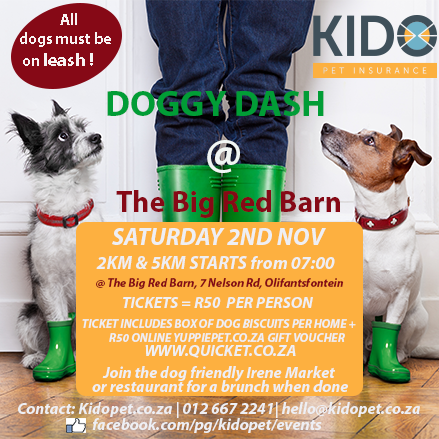 Kido Pet Doggy Dash @ The Big Red Barn