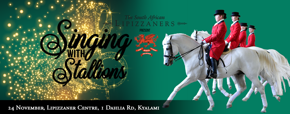 Singing with Stallions