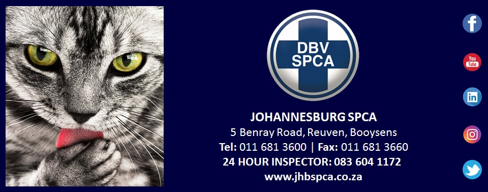 JSPCA Giveback Challenge