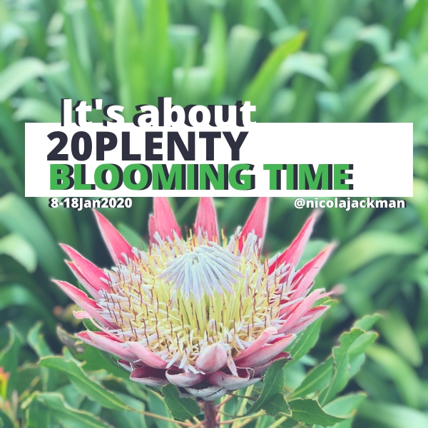 20Plenty 2020 Blooming Time