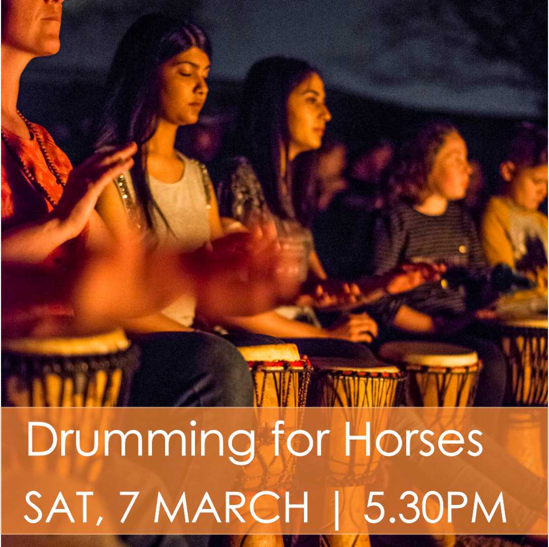 Drumming for Horses
