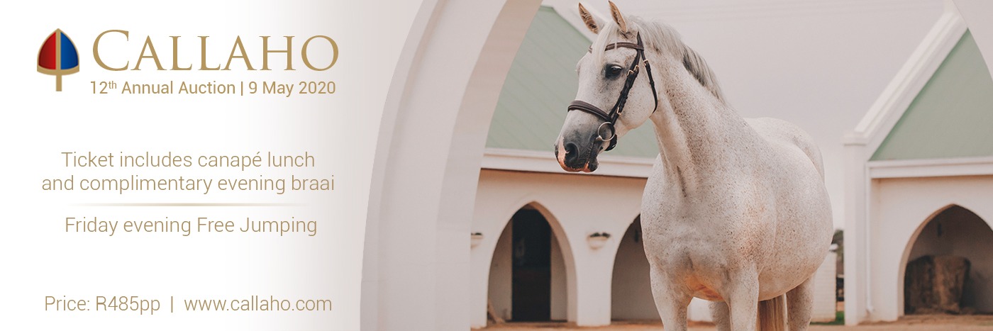 12th Annual Callaho Warmblood Sport Horse Auction 