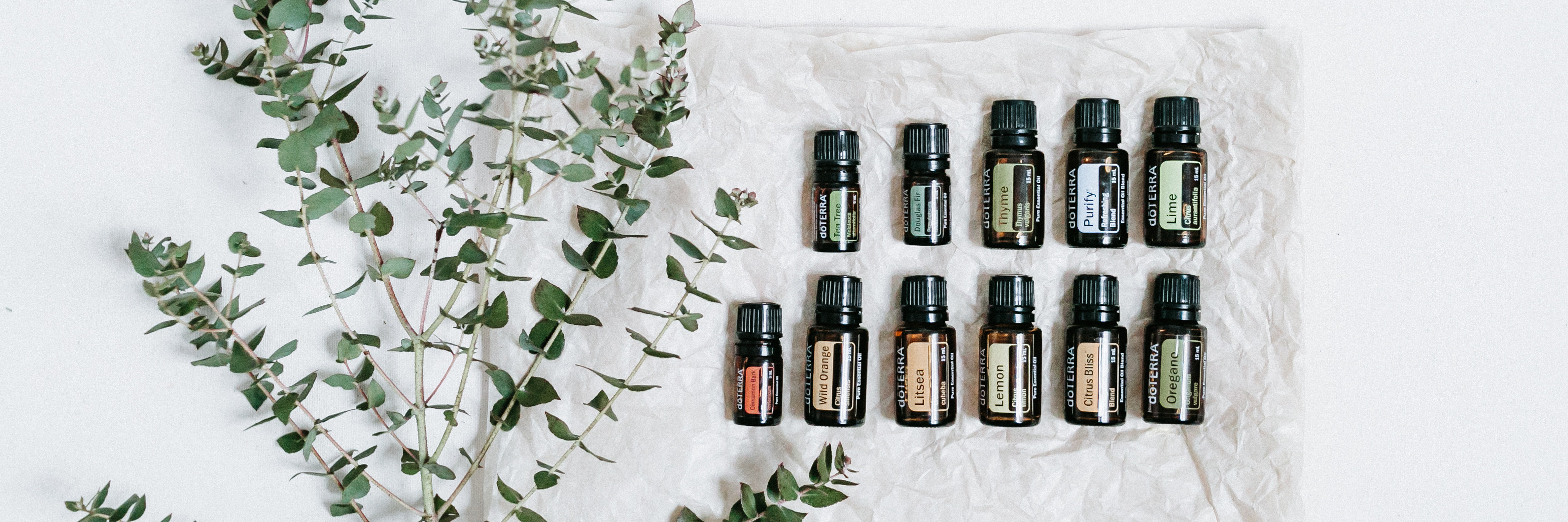 Essential Oils Made Easy