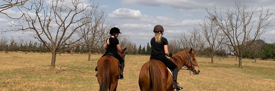 Farm Fun at Rosemary Hill