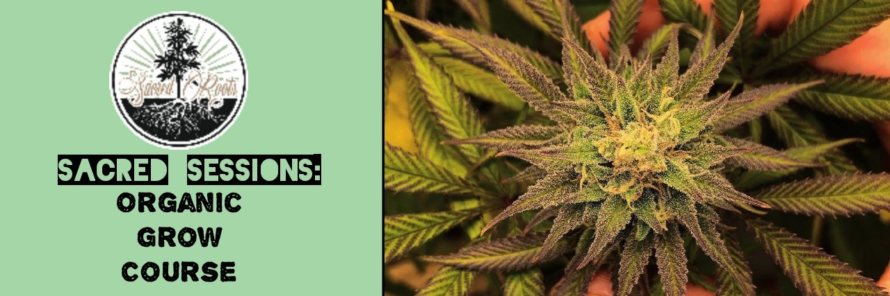 Sacred Sessions: Organic Grow Course