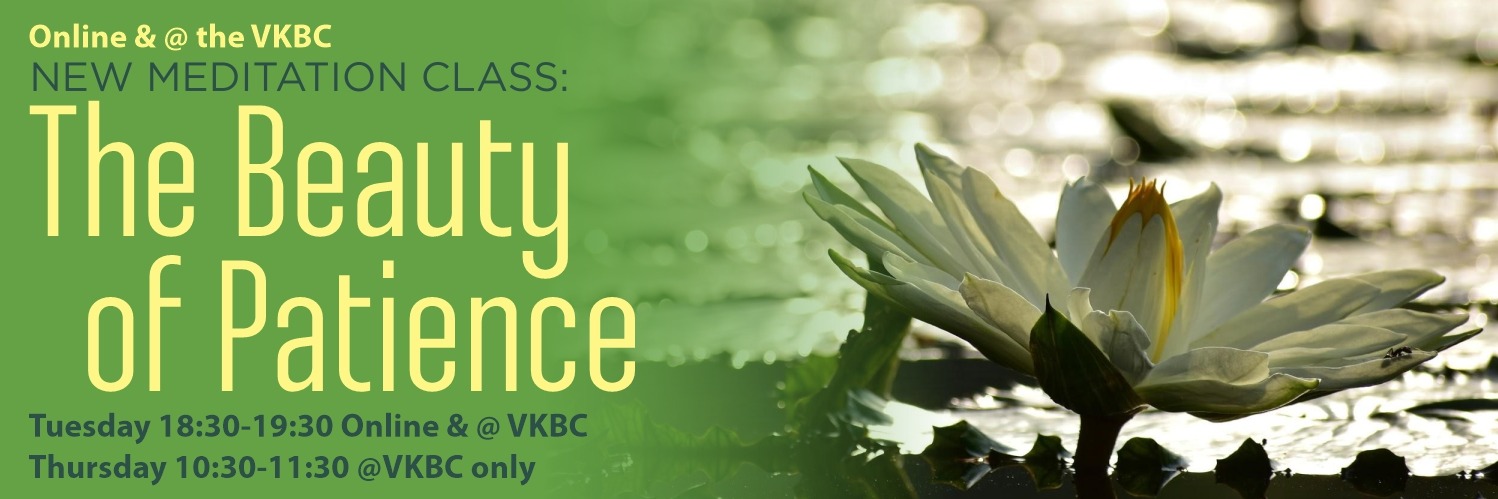 NEW In Person MEDITATION Class : The Beauty of Patience - Thursday 22 October  