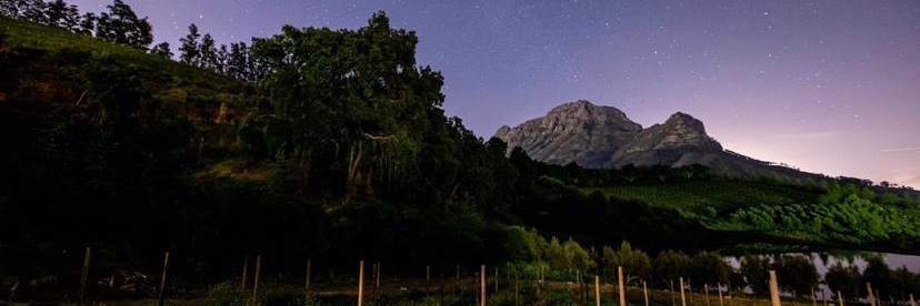 Under the Stars with DJ Paulie @ Bartinney Wine Estate (Sold Out)