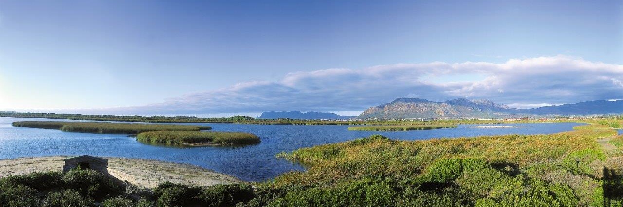 False Bay Nature Reserve Trail Run