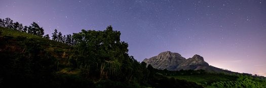 Under the Stars with Lelanie Van Der Berg @ Bartinney Wine Estate  