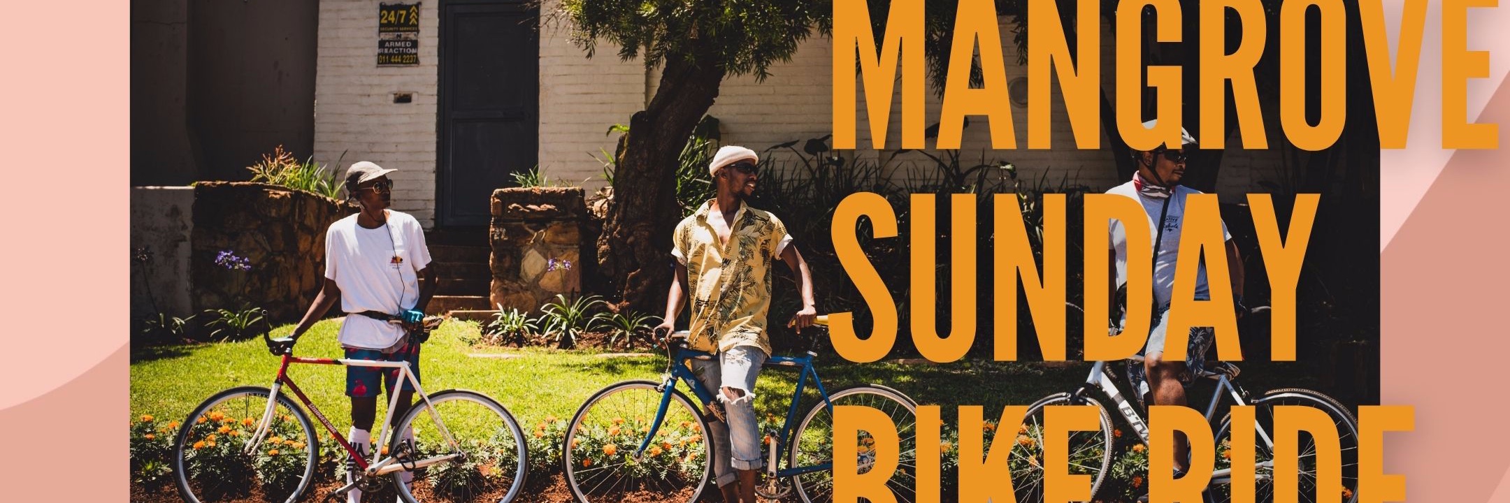 Mangrove City Tour |  Lovers Lane