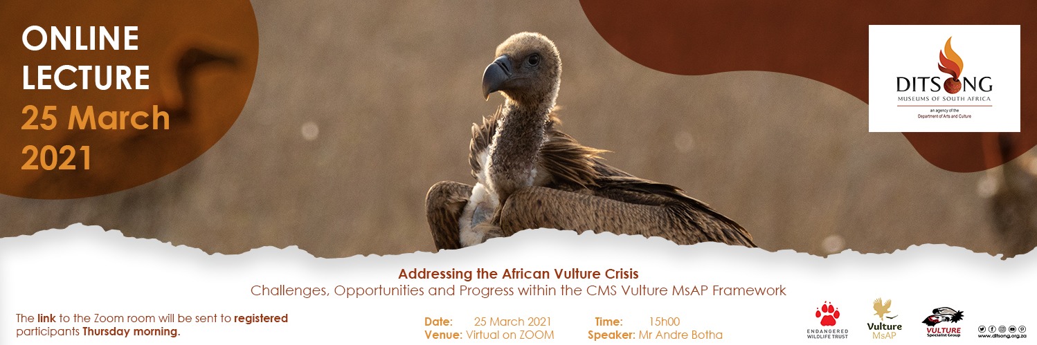Addressing the African Vulture Crisis