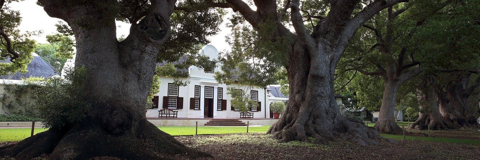 VERGELEGEN ONLINE ENCOUNTER 