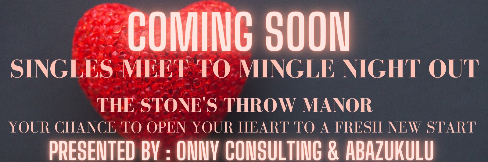 Singles Meet to Mingle Night out