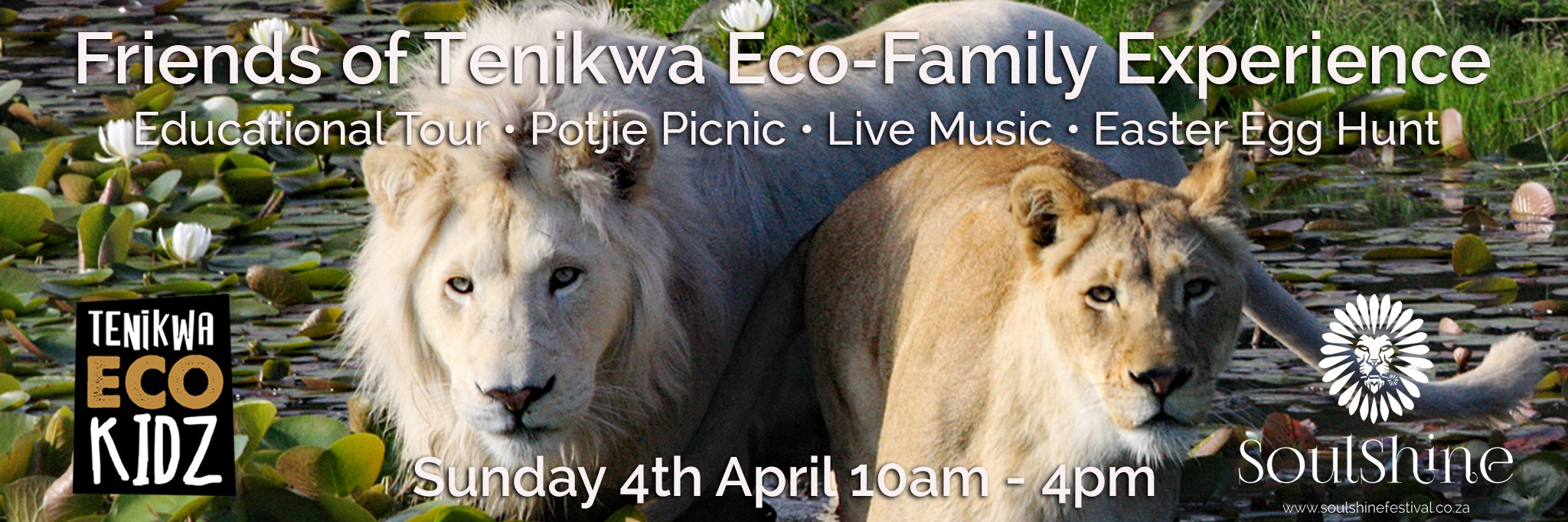 Friends of Tenikwa Eco-Family Experience