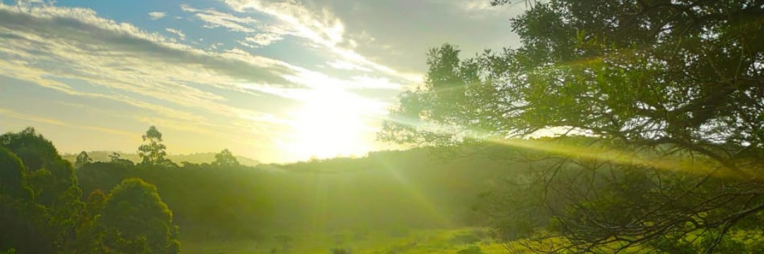 Mind Protection Meditation with Sanet