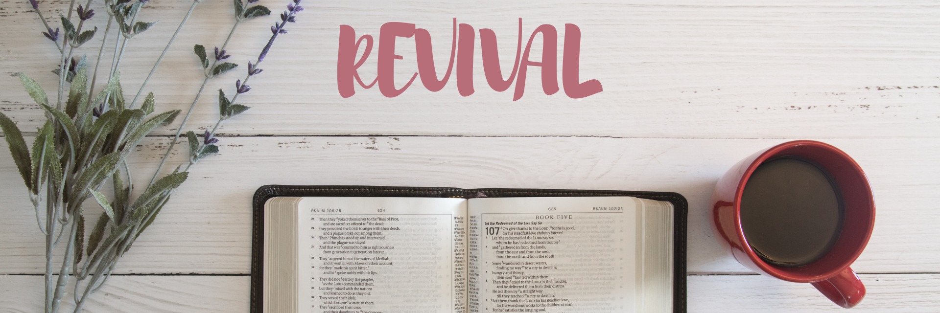 Rock City Church Service (10h00 - 11h30)