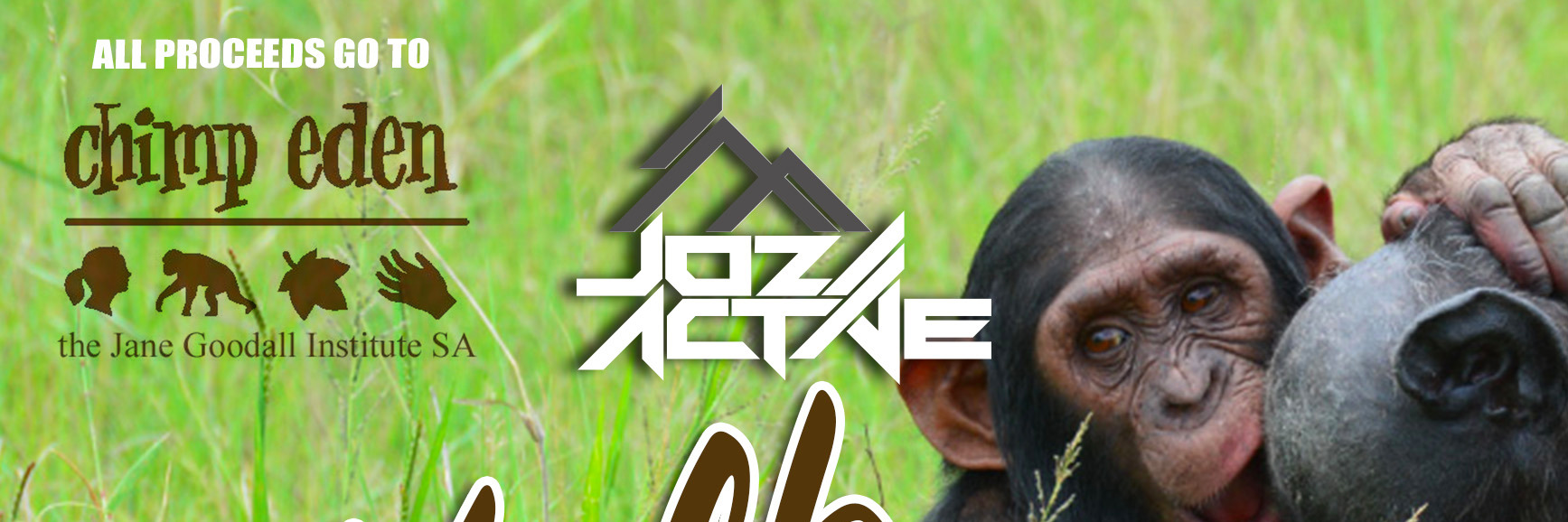 JOZI ACTIVE WALK FOR CHIMPS 