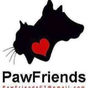 silver muzzle dog rescue