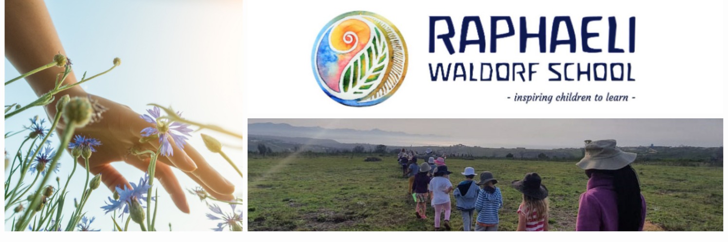 Spring Walk for a New Classroom 