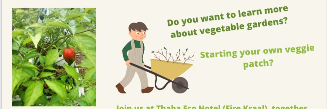 KNRA presents: Grow your own garden