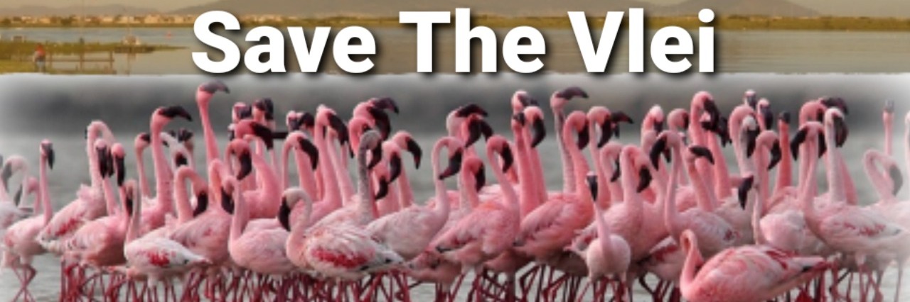 Save The Vlei (Live Event)
