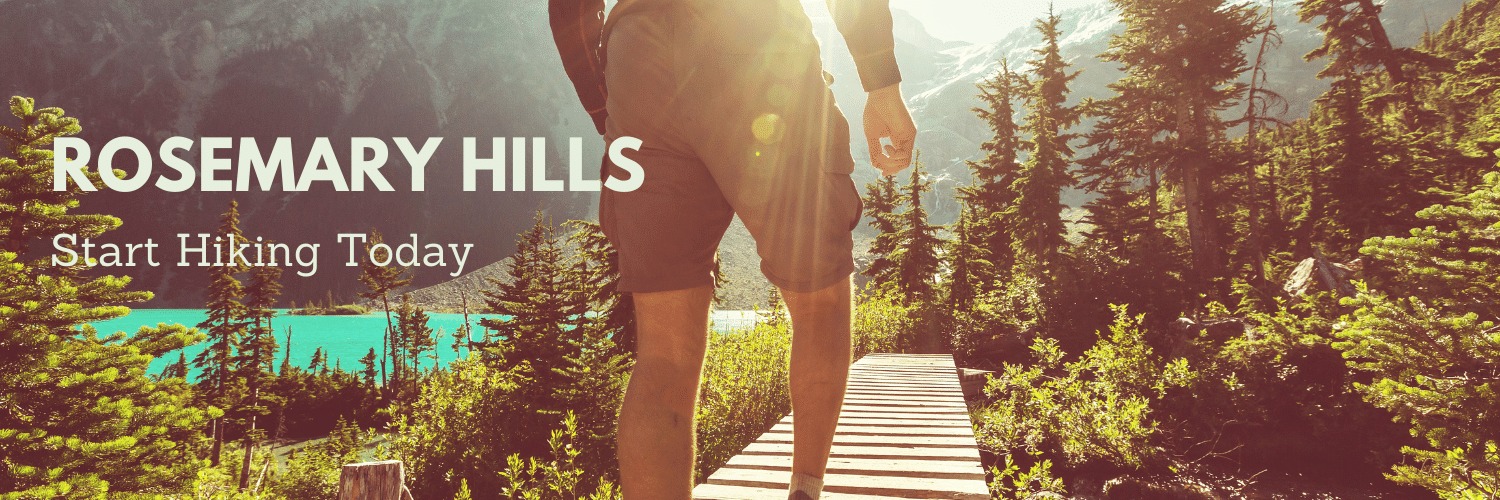 Weekly Wednesday Woman's Hike - Rosemary Hill - 27 Oct - Pretoria East