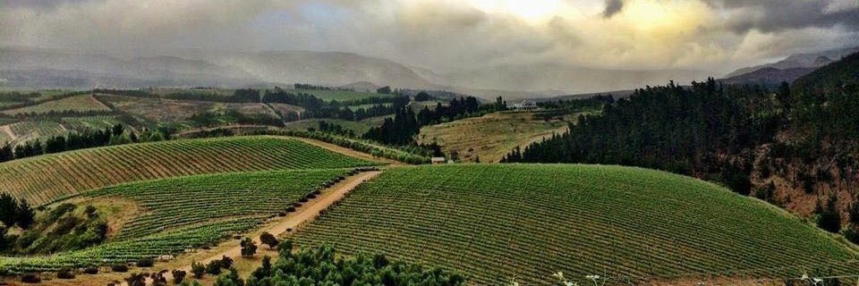 PAIRED DINNER WITH ONEIRIC WINES 